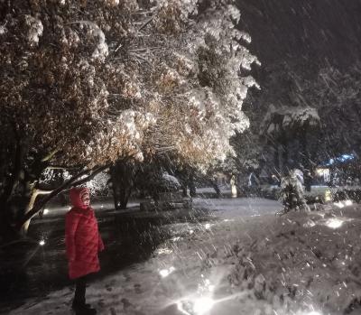 Прикрепленное изображение: 007.jpg